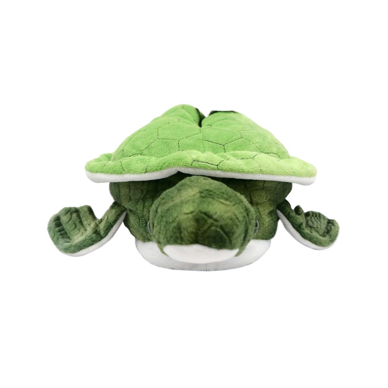 Cute green turtle slippers